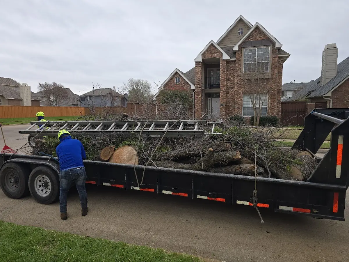 Expert Tree Fertilization with proper safety equipment in Lazbuddie